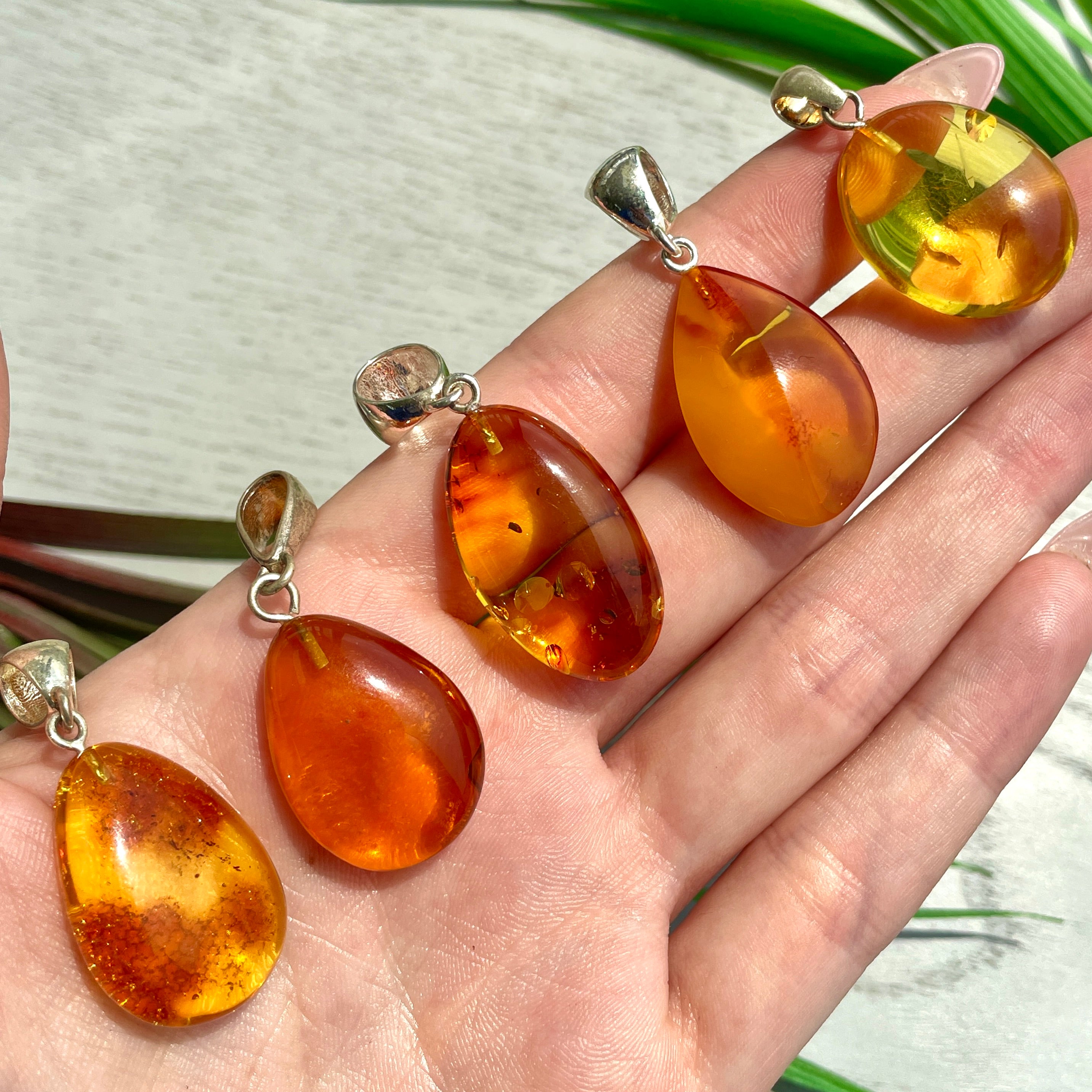 Amber Pendant - Style D Amber Pendant - Style D